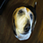 Profile Picture of Jacob Schreiber (@jacobschreiber) on Flickr