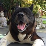 Profile Picture of Robert Carter (@robcarter68) on Instagram