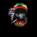 Profile Picture of Jonathan Lanuza (@lanuzajonathan9) on Instagram