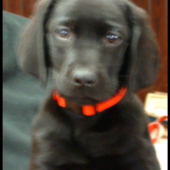 Profile Picture of Christine Keating (@cckeating) on Poshmark