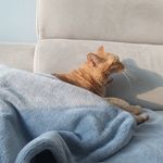 Profile Picture of 김치즈 (@chizz.kim) on Instagram