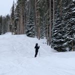 Profile Picture of Alex Terrazas (@alexterrazas_) on Instagram