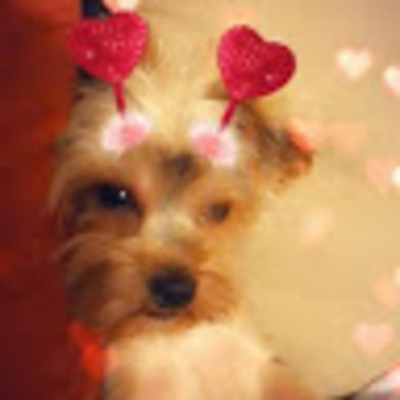 Profile Picture of Jasmine Gildersleeve (@jazzygirl1985) on Poshmark