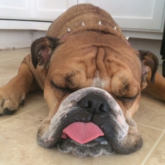 Profile Picture of Anu Dooge (@dooge100) on Poshmark