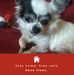 Profile Picture of Mandy Harrison (@mandy.harrison.184007) on Facebook