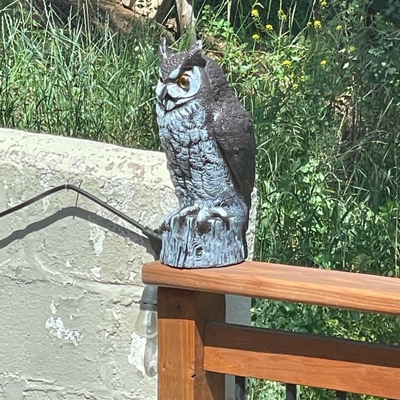 Profile Picture of Brian Giebel (@briangiebel) on Poshmark