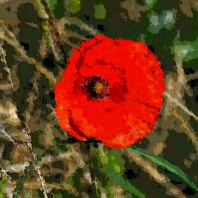 Profile Picture of David Ovenden (@barham1951) on Twitter