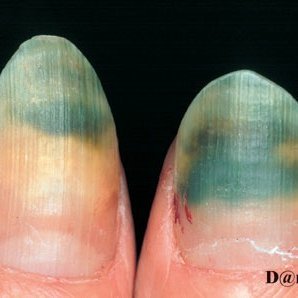 Profile Picture of Celeste Lozano (@celeste9142) on Myspace