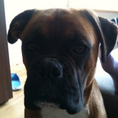 Profile Picture of Scott Ross (@sampson237) on Twitter