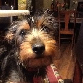 Profile Picture of Lisa Eppes-Polston (@ldp64) on Pinterest