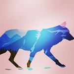 Profile Picture of Jacob Roney (@jacobroney4163) on Instagram