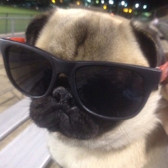 Profile Picture of A nice Loner (@thelonereclipse) on Poshmark