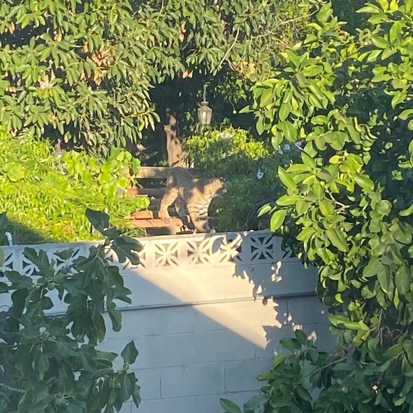 Amanda Seger - Poshmark Profile Picture of Amanda Seger (@asimonian232) on Poshmark