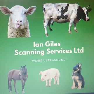 Profile Picture of Ian Giles (@ian.giles.35574) on Facebook