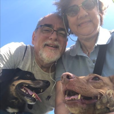 Profile Picture of Fernando Tavares (@Fernand47753578) on Twitter