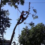 Profile Picture of Catherine Ryan (@catie_liam) on Instagram