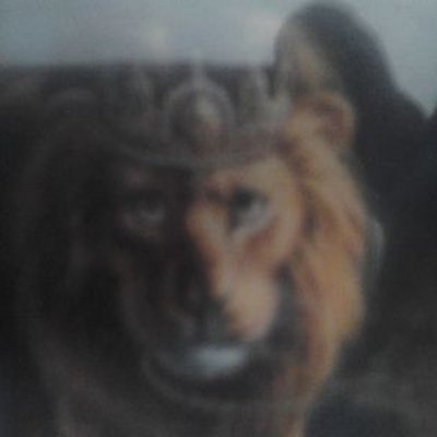 Profile Picture of Albert Kennedy (@cc592999b309406) on Twitter