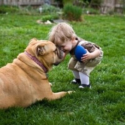 Profile Picture of Amy Chandler (@amychandler007) on Twitter