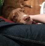 Profile Picture of Dalton Tillery (@dalton.tillery.2025) on Facebook