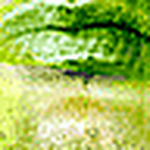 Profile Picture of Tomas Sykora (@tomas sykora) on Flickr