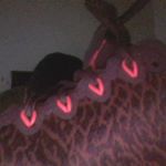 Profile Picture of Chris (@richardslappy) on Instagram