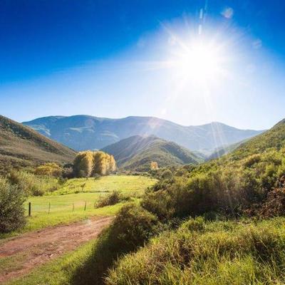Profile Picture of Pat Busch Reserve (@PatBuschReserve) on Twitter