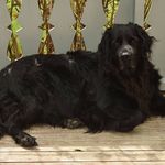 Profile Picture of Jan-Birger Fjellvang Heftøy (@jan.birger.fh) on Instagram