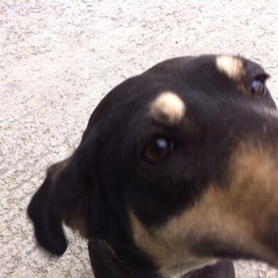 Profile Picture of John Kakouris (@KakourisJohn) on Twitter