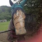 Profile Picture of Stephen Lewis (@peckham_pouncer) on Instagram