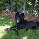 Profile Picture of Terri Kuhn Mireault (@terrimireault) on Instagram