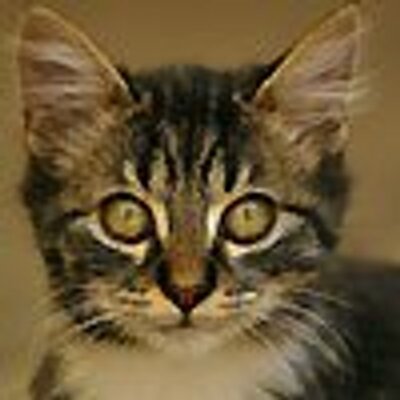 Profile Picture of Bonnie Coyle (@BonnieCoyle) on Twitter