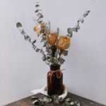 Profile Picture of 𝗯𝗹𝗼𝗼𝗺𝘀 𝗯𝘆 𝗗𝗮𝘄𝗻 * 𝗦𝗚 𝗳𝗹𝗼𝗿𝗶𝘀𝘁 (@figandwasp.blooms) on Instagram