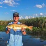 Profile Picture of Neal Patterson (@judsononeal) on Instagram