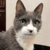 Profile Picture of Val Cooper (@valcooper6) on Tiktok