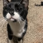 Profile Picture of Daniel Posadas (@daniel.posadas.186685) on Facebook