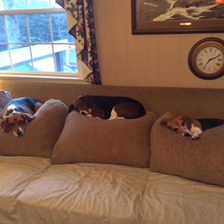 Profile Picture of Mike Beagles (@mikeandlinda.beagles) on Facebook