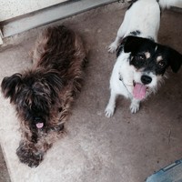 Profile Picture of Matthew Torres (@matthew-torres-30) on Quora