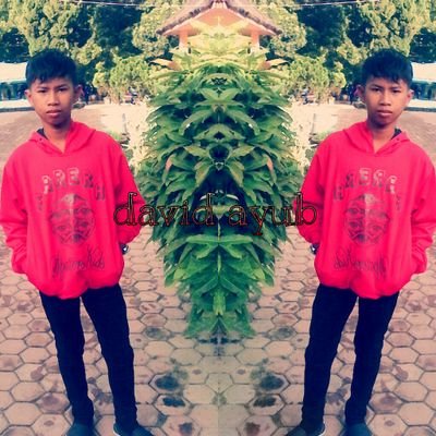 David Ayub - Twitter Profile Picture of David Ayub (@Ayub61Ayub) on Twitter