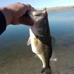 Profile Picture of randylinhart6 (@randy.linhart) on Tiktok