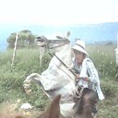 Profile Picture of Daniel Galeano (@danielgaleano18) on Twitter