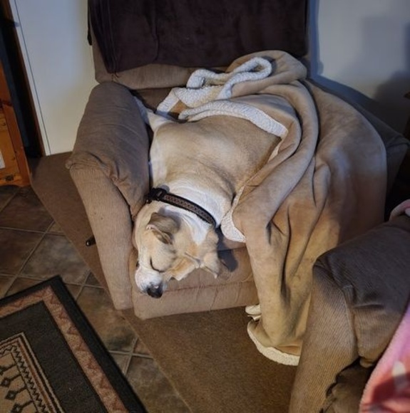 Cindy Pittsley - Poshmark Profile Picture of Cindy Pittsley (@tpittsley) on Poshmark