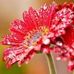 Profile Picture of Yolanda Clavel (@yolanda.clavel.71) on Facebook