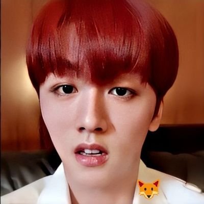 Profile Picture of Clever Fox🍀🌰 (@cl_everfox) on Twitter