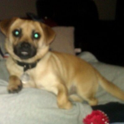 Profile Picture of Paula Higgins (@paulahiggs19) on Twitter