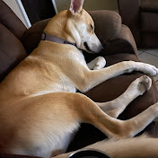 Profile Picture of Ava Ramirez (@avaramirez2967) on Youtube