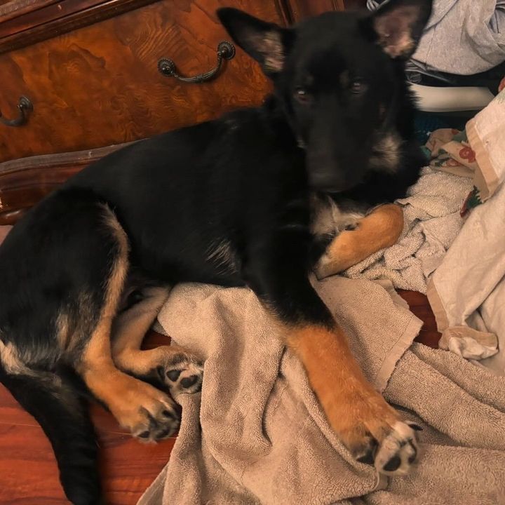 Profile Picture of nicholas (@ki0l_quil) on Tiktok