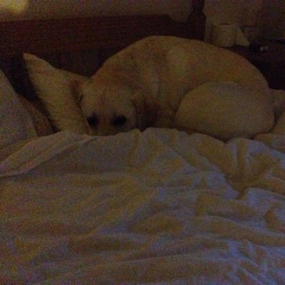 Profile Picture of Paul Caesar (@caesar_paul) on Twitter