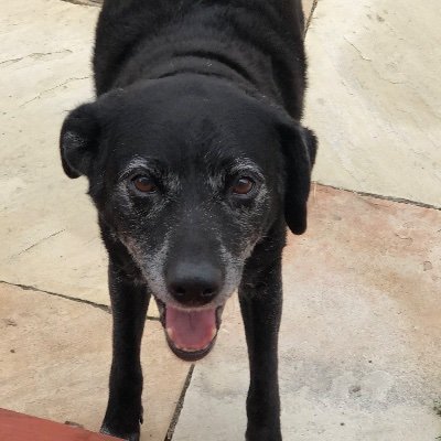 Profile Picture of Paul Ross (@pjross01) on Twitter