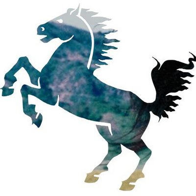 Profile Picture of Steve Stallion (@steve_stallion) on Twitter