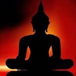 Profile Picture of Thomas Arculeo (@thomasarculeo) on Instagram